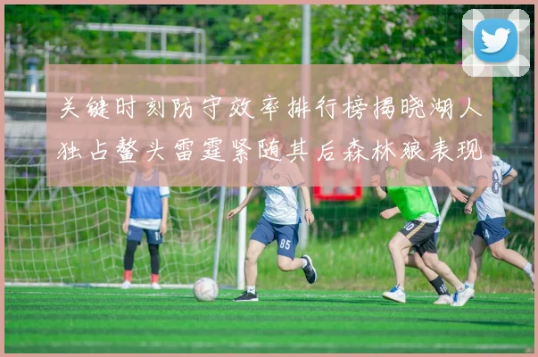 关键时刻防守效率排行榜揭晓湖人独占鳌头雷霆紧随其后森林狼表现不俗